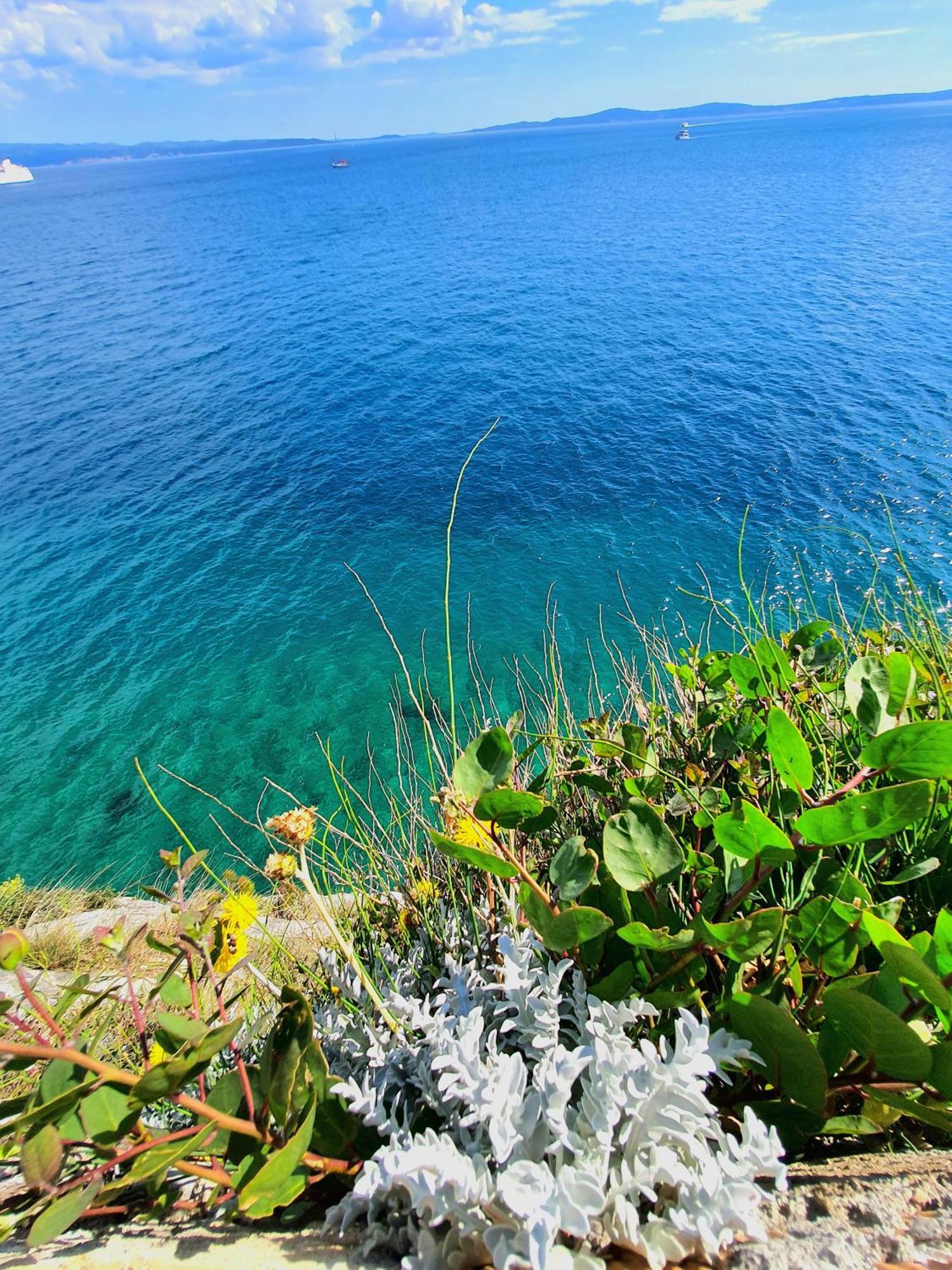 Apartma Violeta Hvar