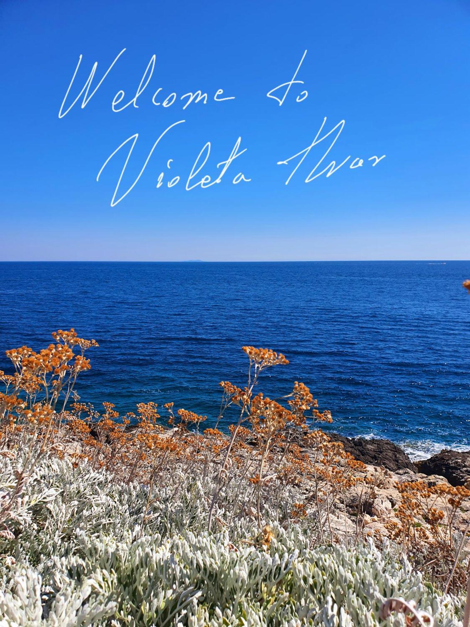 Violeta Hvar Apartman